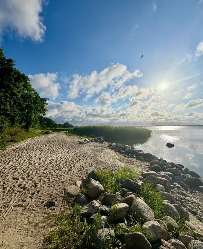 Naturstrand am Strelasund direkt am Hafen